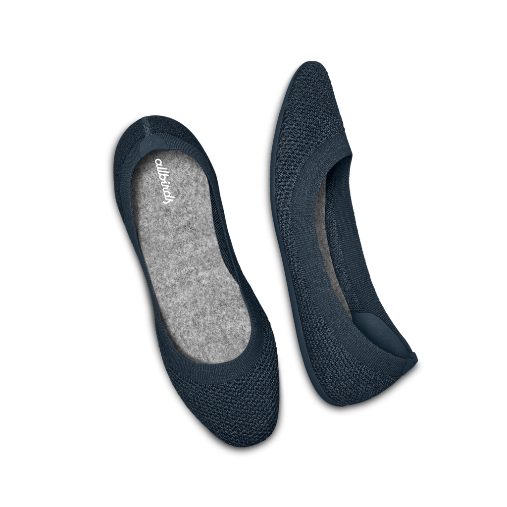 Allbirds W Tree Breezer Ballerinas in BLAU