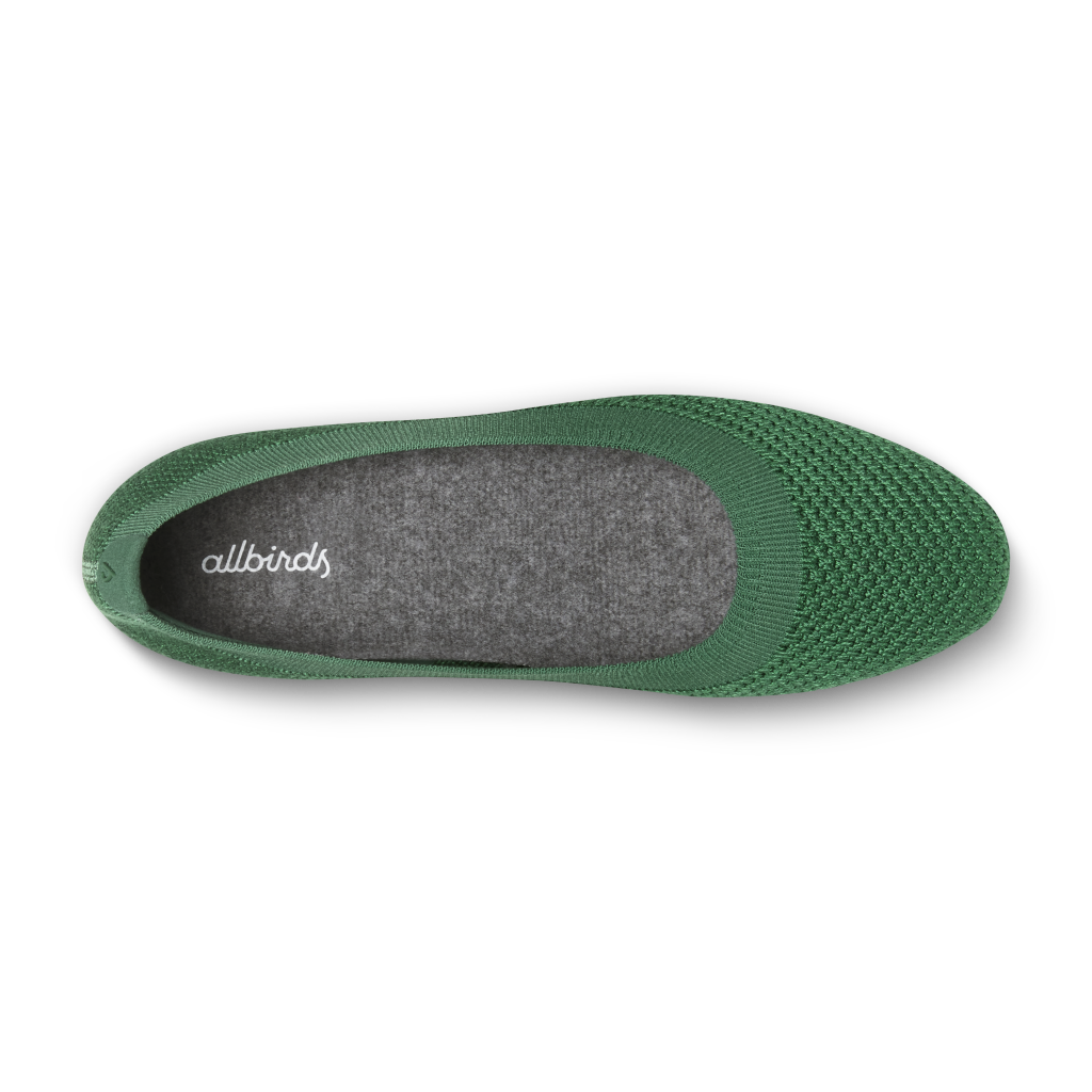 Allbirds W Tree Breezer Ballerinas in GRÜN